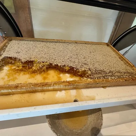 Bacher Katschberghöhe